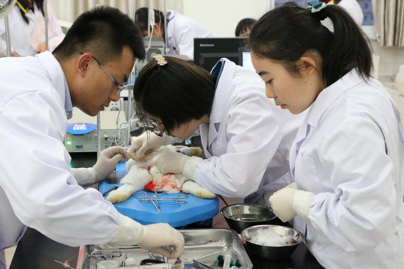 医学生"随堂笔记"曝光,画工惊艳细节精准,不走艺术偏要学到秃头