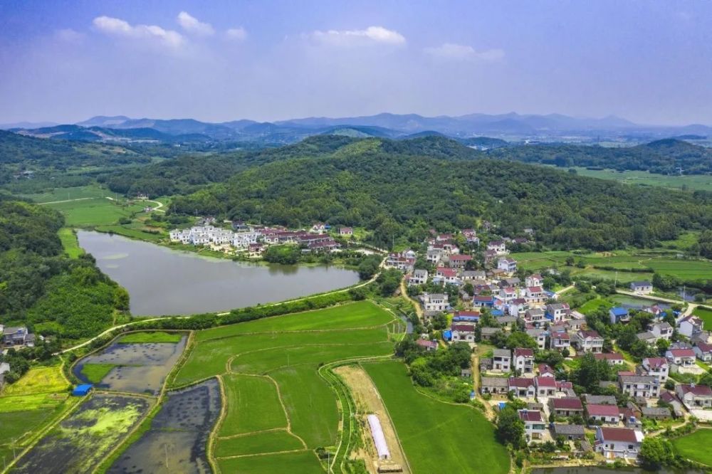 走进丹阳镇看变化