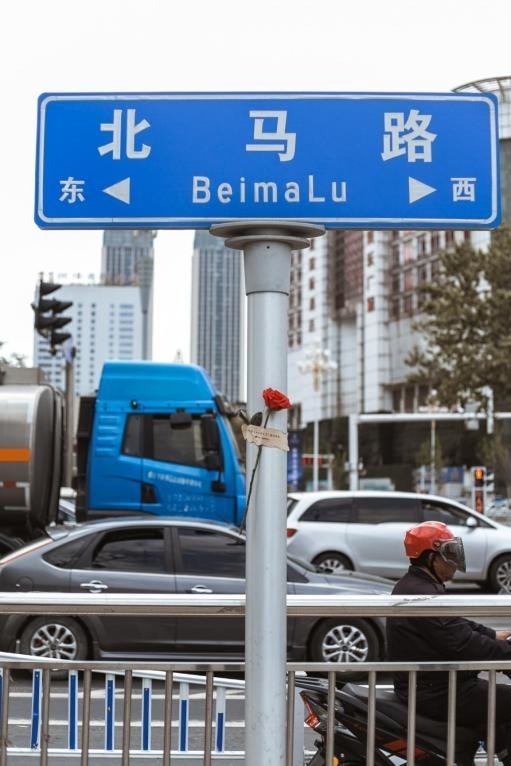 520浪漫提前开启烟台街头现应急玫瑰