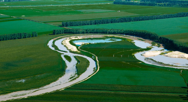 七彩花田多元产业融合 打造穆棱乡村振兴游学基地