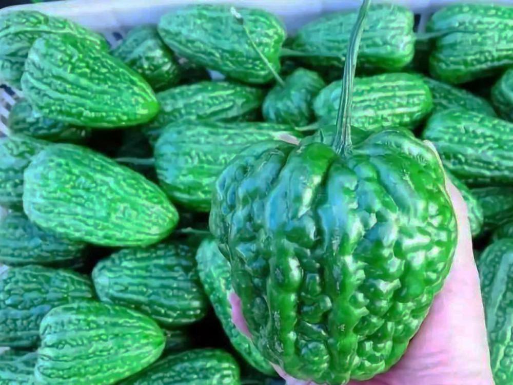 它叫"雷公凿",在北方很少见到它,却在南方家喻户晓,可好吃了