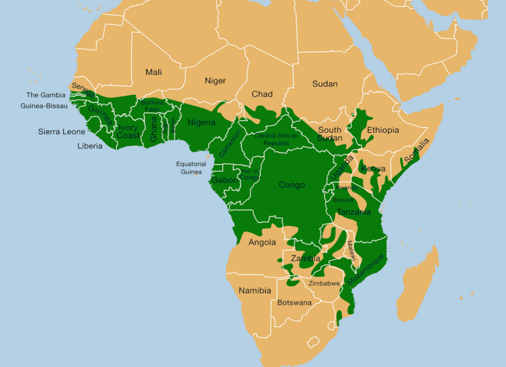 有的昆虫妈妈生出来的娃娃跟自己一样大