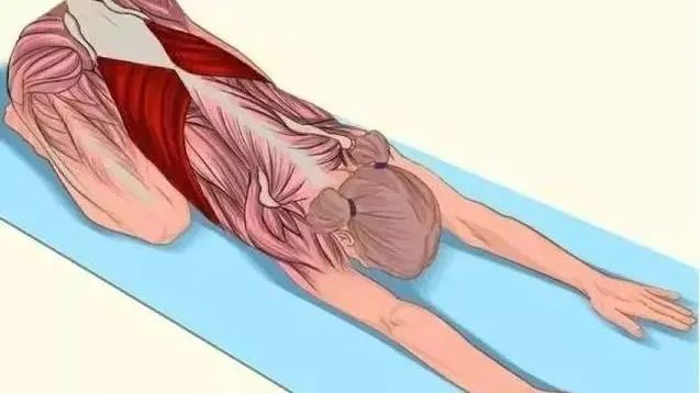 每天10分钟变瘦显高舞蹈生训练后的全身拉伸动作