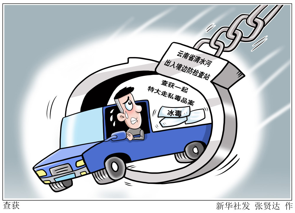 图表漫画法治查获