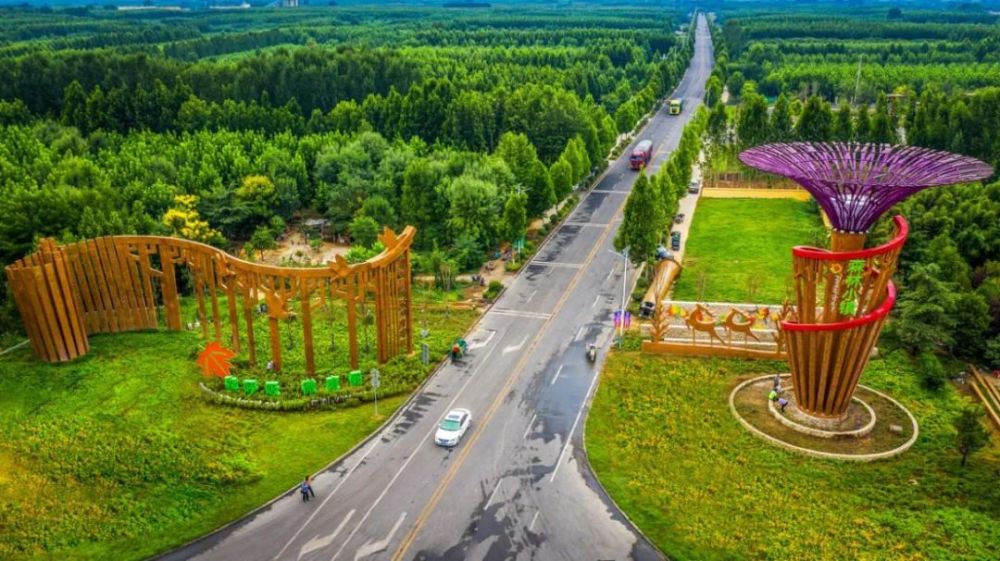 这就是山东济宁来任城邂逅属于你的暮春浅夏