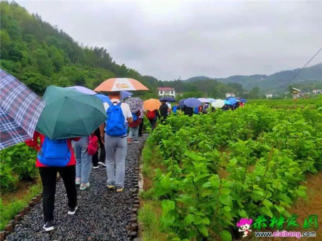 5月13日,安庆市应急管理局二级调研员沈书文带队到来榜镇督查指导