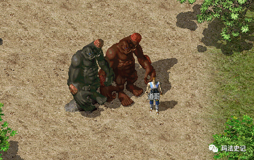 此外,天之地图的双头金刚和双头血魔也有专属药材--黄色马枝花和