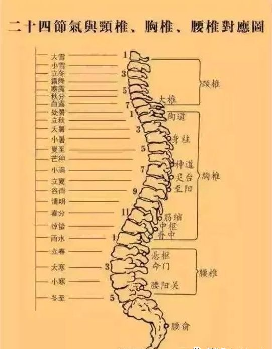 傳統武術不輕傳的練功訣竅—松尾閭的四步功訣