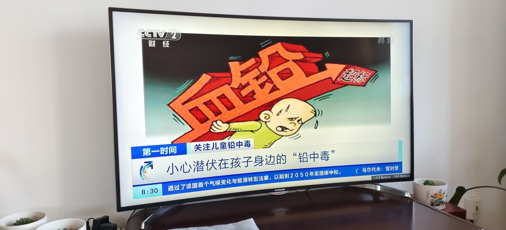 孩子玩土也容易铅中毒吗?