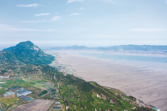 沙江 乡村振兴尽显亮丽底色|沙江镇|乡村振兴|霞浦县|海带|马铃薯