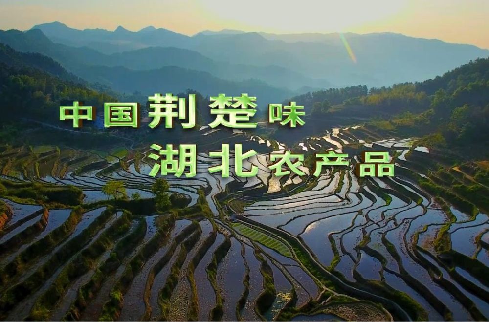 潜江资讯网免费发布信息在哪里(潜江资讯网免费发布信息在哪里找)