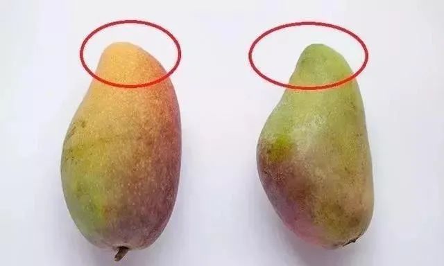 关于元江县芒果成熟采摘上市的倡议书|芒果|元江县|果实|农业农村局