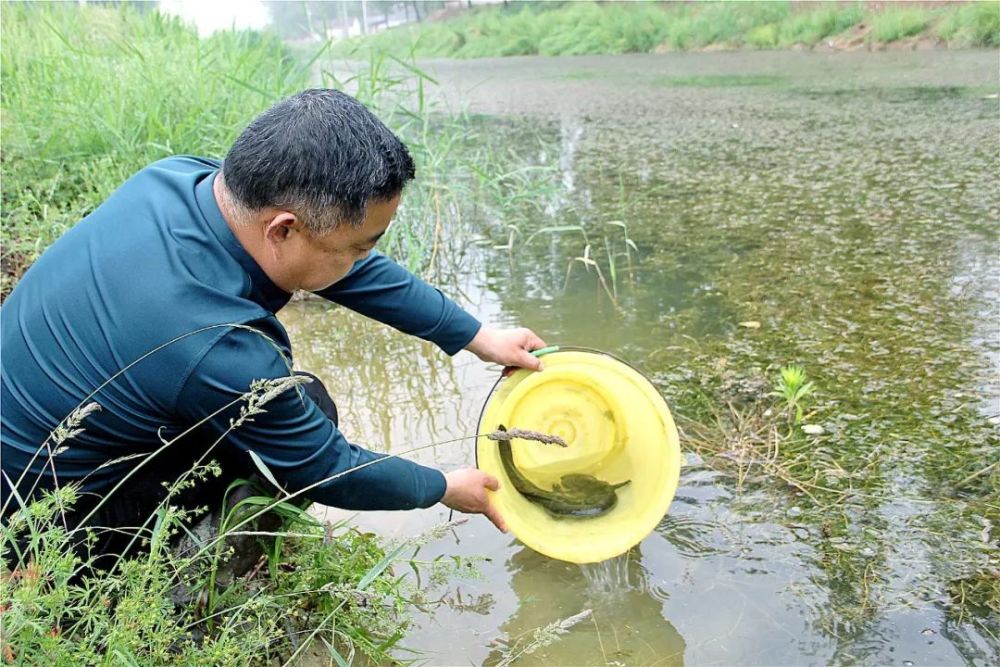 阜陽一村民捕獲兩條怪魚四條腿長相奇特竟是國家二級保護動物