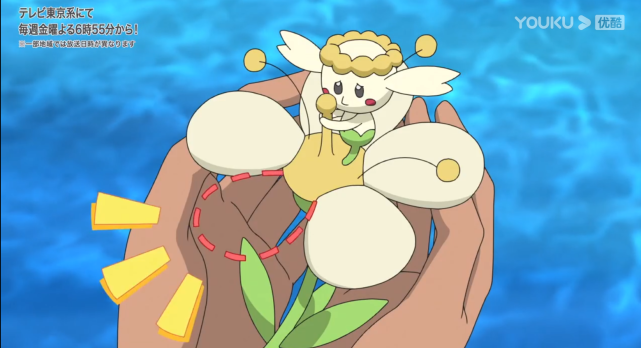 宝可梦旅途66:卡洛斯帮花蓓蓓找花,为啥小智不去湿地