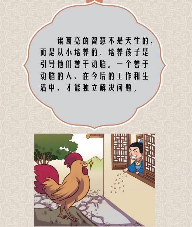 喂鸡求学的小小诸葛