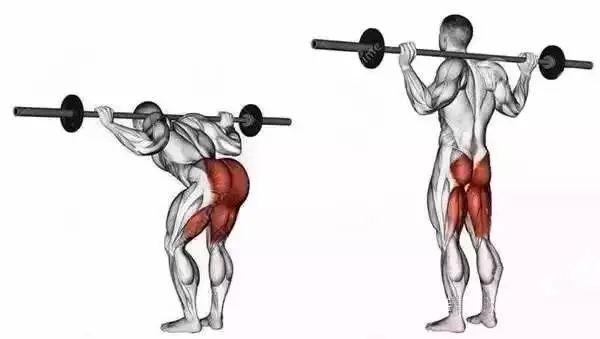 负重体前屈动作是否危险可能你不知如何去做带你了解正确训练