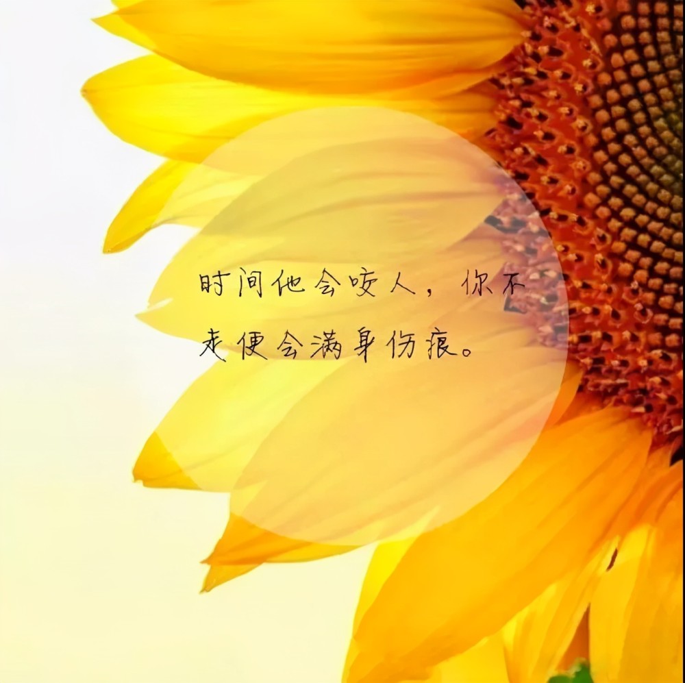 说说心情短语人生感悟对生活有感而发的说说