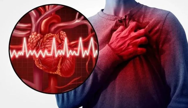 心脏就像人体的发动机,有一套完整的传导系统,能自行"发电"泵出血液