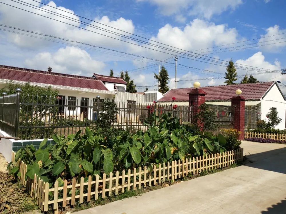 遍地开花如皋这个村火了江苏省第六批次特色田园乡村名单公布