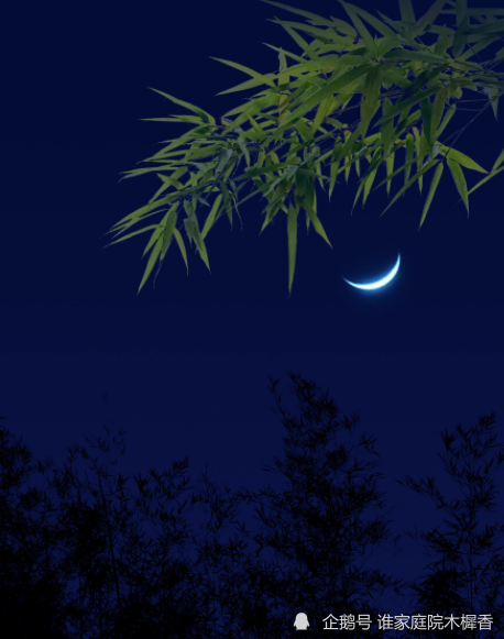 古诗词里的竹子,是中国人气节的代言人