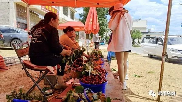 又是一年樱桃红杨家湾樱桃如约而至