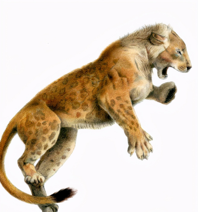 狮子的演化历史十分久远,在史前270万年,最早的狮子叫做沙氏狮,它随后