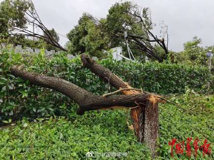 多图直击武汉特大龙卷风核心现场