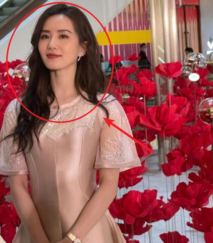 刘诗诗活动图流出不加滤镜才能算明星生图看这细腰真绝了