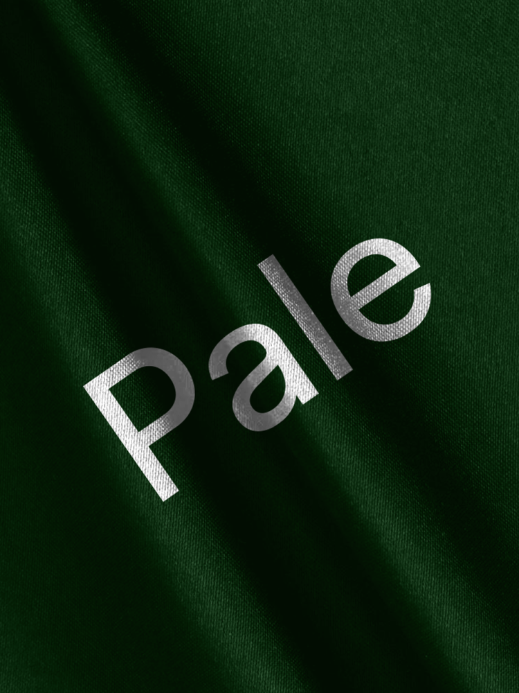 平面设计paleworks创意工作室品牌形象设计