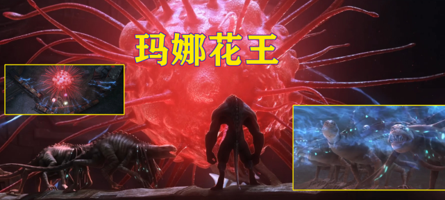 在没有看特别篇之前,五河一直认为玛娜之花这种植物是低等级噬极兽