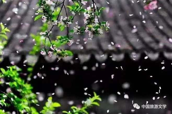 行走丨倚窗聽雨