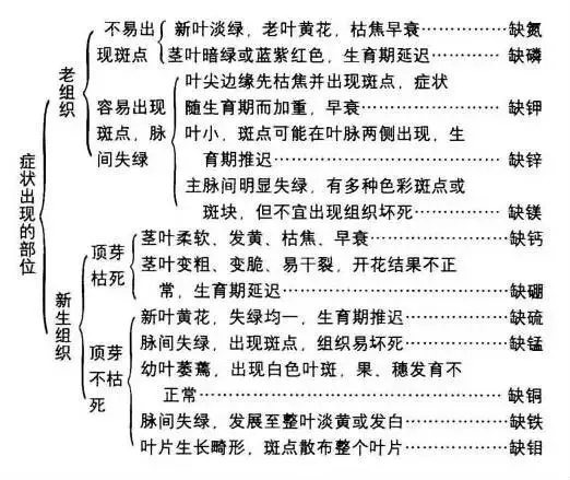 植物缺素原因及缺素症状对照表,已整理成工具书,方便查阅