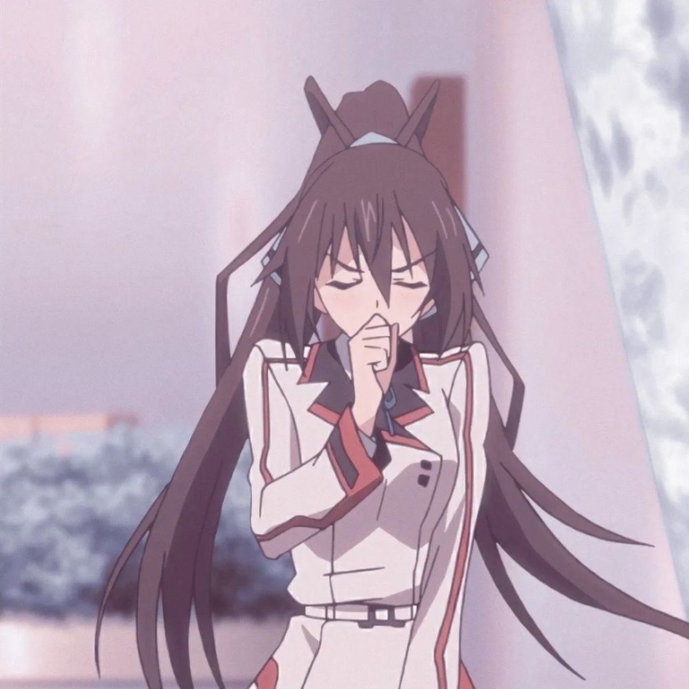 无限斯特拉托斯 织斑一夏和篠之之箒 让人羡慕的青梅竹马情头 腾讯新闻