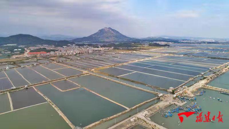 诏安四都海产养殖引领乡村振兴