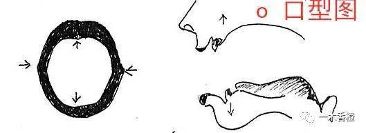 汉语拼音o的读音改为奥 如此西化 崇洋媚外何时休 腾讯新闻