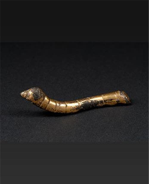 陕西老农捡到千年前"蚕宝宝",他主动上交不要一分钱,现成国宝