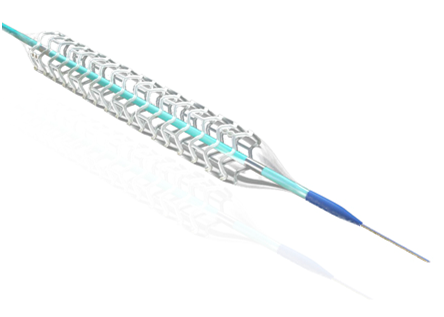 neovas生物可吸收支架据港交所10月29日披露,乐普生物科技股份有限