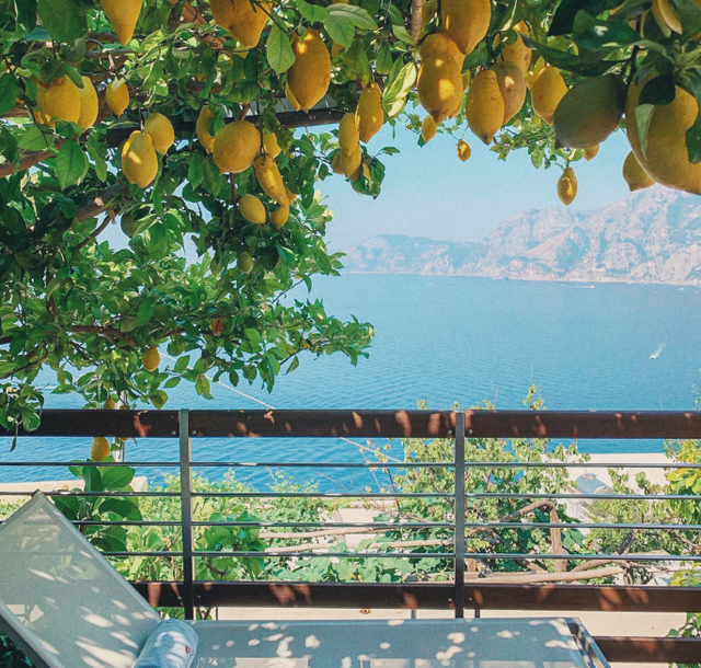 生长在"柠檬树"上的四大星座女,凡事爱计较,见不得别人好!