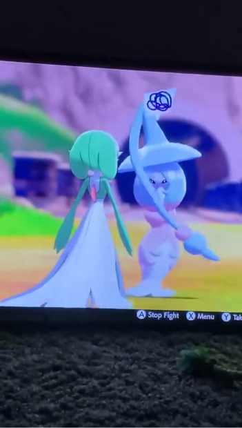 宝可梦后宫起火沙奈朵和魔女闹矛盾你该帮谁