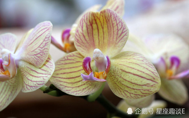 5月17日星座运势 趁热打铁 奋勇向前的四大星座 腾讯网