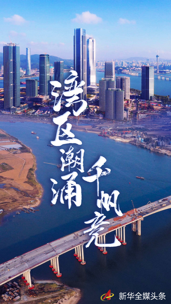 海报:湾区潮涌千帆竞