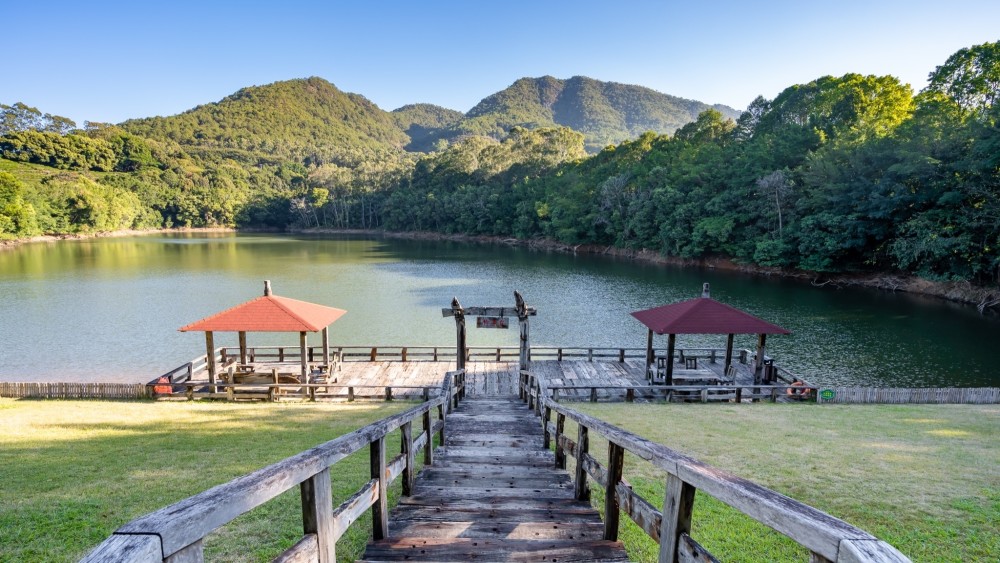 雁南飞茶田景区让我沉醉这片叠翠