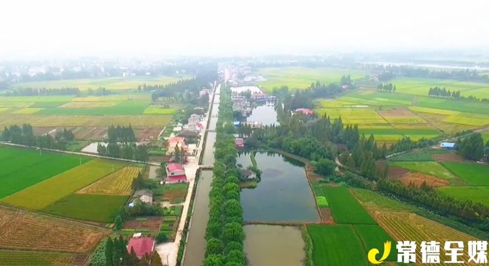 【沅澧百镇千村行】安乡县下渔口镇:激活农村劳务市场 促进土地规模