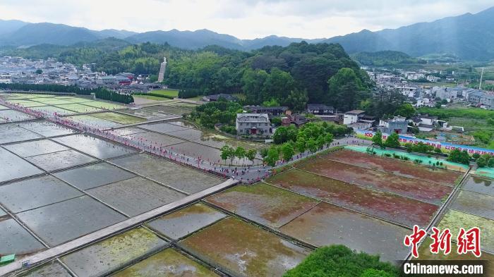 福建上杭紅古田半程馬拉松賽開賽奧運冠軍世界冠軍助威