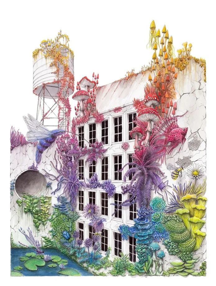 法国艺术家stephanie kilgast自然形态插画设计作品