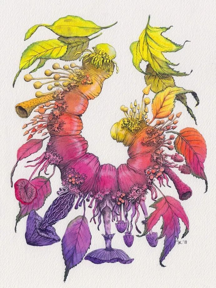法国艺术家stephanie kilgast自然形态插画设计作品