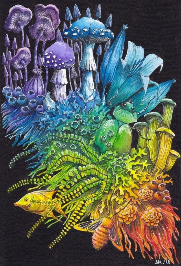 法国艺术家stephanie kilgast自然形态插画设计作品