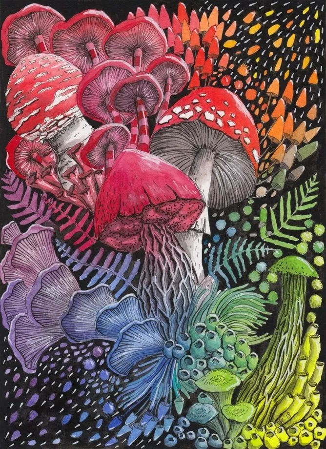 法国艺术家stephanie kilgast自然形态插画设计作品