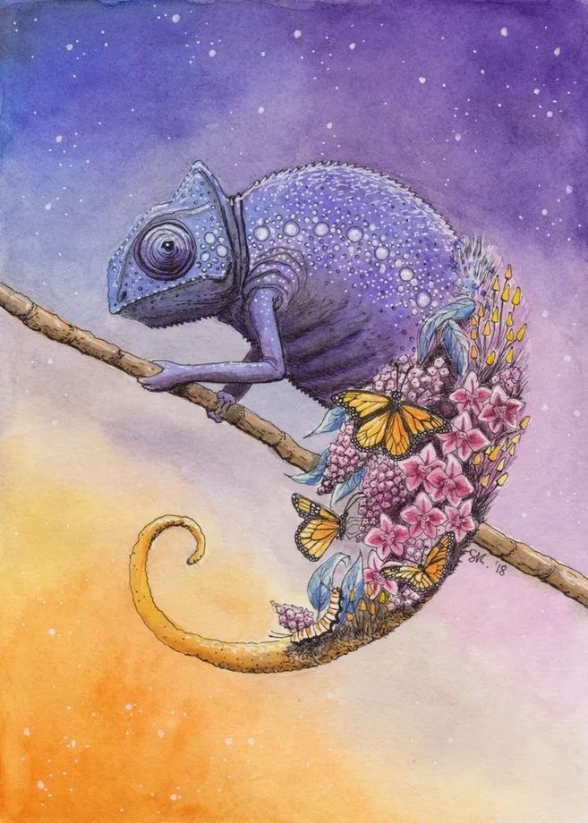 法国艺术家stephanie kilgast自然形态插画设计作品