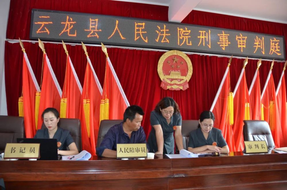 云龙县一男子私自砍伐22株云南松,结果